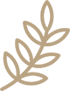 icon-leaf